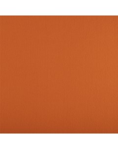 Ткань фетр Premium FKR20 33 53 RO 17 оранжевый Gamma