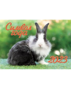 Календарь настенный Символ года 1 Кролик Маркет на 2023 год 305672 Nd play