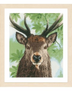 Набор для вышивания на хлопке Proud red deer арт PN 0168208 Lanarte