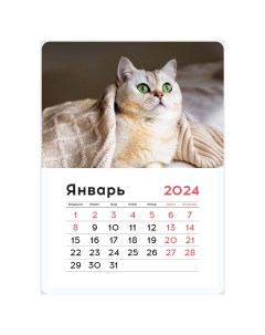 Календарь отрывной на магните 130 180мм склейка Mono Cute cat 2024г Officespace