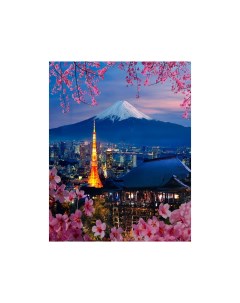 Картина по номерам Токио Роспись по холсту 40х50 см MS7681 1 с 8 лет Supertoys