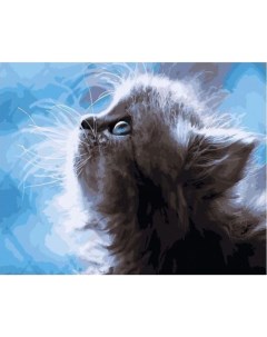 Картина по номерам Котёнок холст на подрамнике 40х50 см GX21729 Paintboy