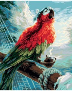 Картина по номерам Пиратский попугай PNB PL 057 Freya