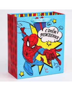 Пакет вертикальный С Днем Рождения Человек паук 23х27х11 5 см Marvel