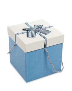 Коробка подарочная Куб цв голуб бел WG 10 3 B 113 301835 Арт-ист