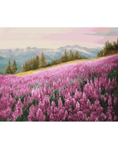 Картина по номерам Розовое поле 40x50 см Цветной