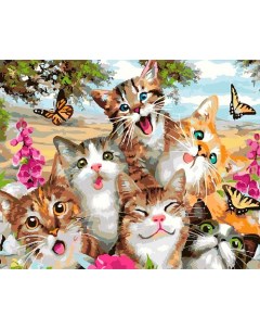 Картина по номерам Улыбки котиков 40x50 см Paintboy
