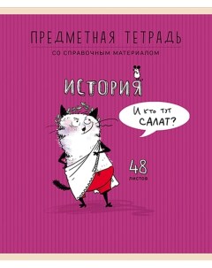 Тетрадь предметная Приключения кота Пифа история 48 листов 1 шт Пзбм