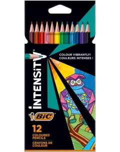 Цветные карандаши 12 цветов для подростков и взрослых трёхгранные Color Up Bic