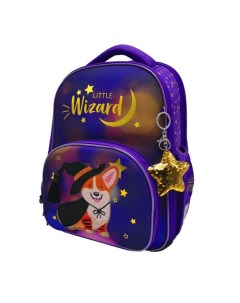 Детский рюкзак Profi Little wizard 36х28х14 см 2 отд 4 кармана RU06303 Berlingo