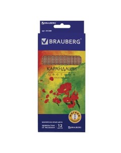 Набор цветных карандашей 12 цв арт 181288 5 наборов Brauberg