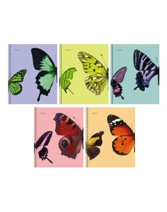 Тетрадь общая Butterflies 48 листов А5 в клетку в ассортименте Канц-эксмо