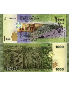 Подлинная банкнота 1000 фунтов Сирия 2013 г Nobrand