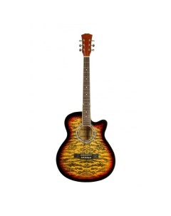 Акустическая гитара с анкером глянцевая Липа 4 4 40дюйм E4030 TIGER Elitaro