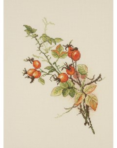 Набор для вышивания Осенний шиповник арт 04 001 05 Марья искусница