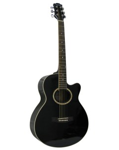 Акустическая гитара LF 401C BK Colombo
