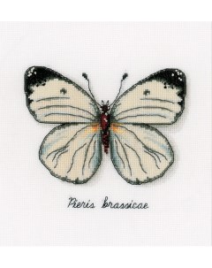 Набор для вышивания крестом Белая бабочка 16x14 см арт PN 0165233 Vervaco