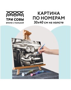 Картина по номерам Винтажный автомобиль 30х40 с акриловыми красками и кистями на холсте Три совы