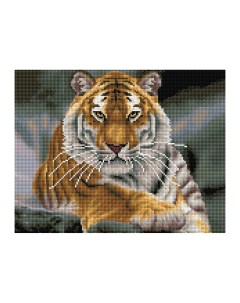 Алмазная мозаика Тигр 30 40см холст картонная коробка с пластиковой ручкой Три совы