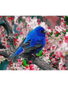 Картина по номерам Синяя птица 40x50 см Цветной
