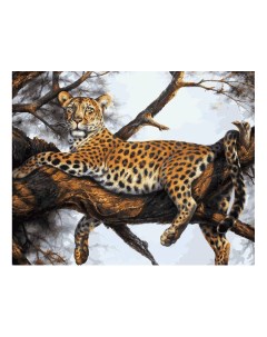 Раскраска по номерам Леопард на отдыхе Белоснежка