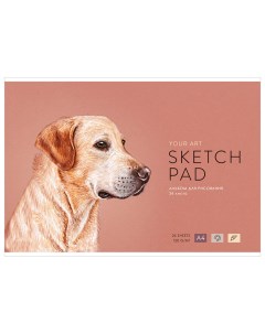 Альбом для рисования Labrador на скрепке А4 24 листа Greenwich line