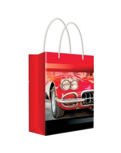 Пакет подарочный 22 31 10см Красный автомобиль ламинированный 5 шт Русский дизайн