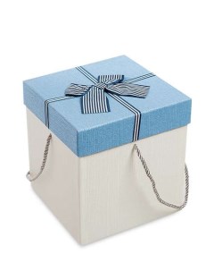 Коробка подарочная Куб цв бел голуб WG 10 3 A 113 301195 Арт-ист