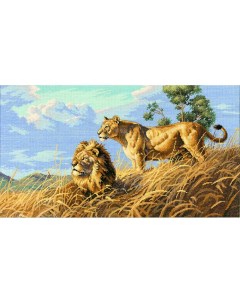Набор для вышивания Африканские львы 123649 Dimensions