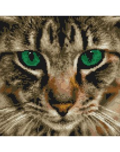 Алмазная мозаика Бенгальская кошка Molly