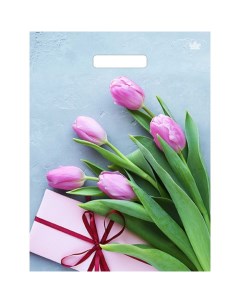 Пакет Тюльпаны в подарок полиэтиленовый с вырубной ручкой 31 х 40 см 60 мкм 50 шт Тико-пластик