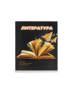 Тетрадь предметная 3D 48 листов в линейку Литература обложка мелованный картон блок Calligrata