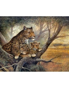 Картина по номерам Семья леопардов Роспись по холсту 40х50 см BFB0647 с 8 лет Supertoys