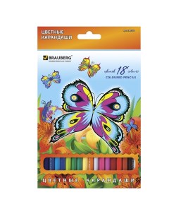 Карандаши цветные Wonderful butterfly 4 шт Brauberg