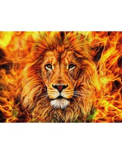 Алмазная мозаика стразами Лев в огненном пламени 00114280 30х40 см Ripoma