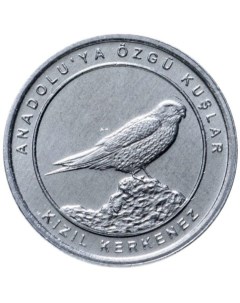 Памятная монета 1 куруш Степная пустельга Анталийские птицы Турция 2020 г Nobrand