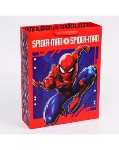 Пакет вертикальный Spider Man Человек паук 31х40х11 см Marvel