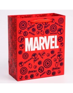 Пакет вертикальный Мстители 23х27х11 5 см Marvel