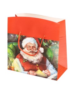 Пакет подарочный 23 х 11 х 16 см Дед Мороз в ассортименте Due esse christmas