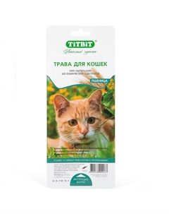 Травка для кошек пшеница Titbit