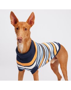 Свитер полосатый для собак 55 см оранжево голубой Petmax