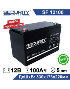 Аккумулятор для ИБП SF 12100 100 А ч 12 В Security force