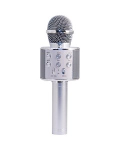 Микрофон колонка Superstar Silver MA3001SR Magic acoustic