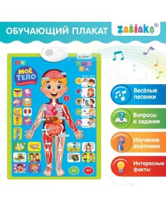 Обучающий плакат Изучаем анатомию Моё тело Zabiaka