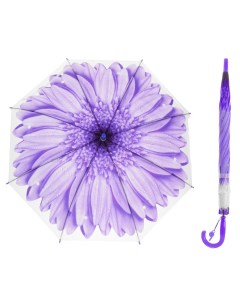 Зонт трость полуавтоматический Гербера со свистком фиолетовый 41 см Sima-land