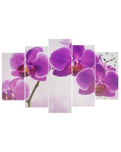 Часы настенные модульные серия Цветы Фиолетовые орхидеи 80х140 см Сюжет