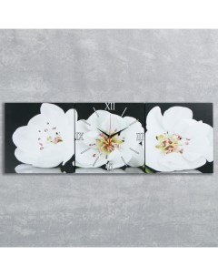 Часы настенные модульные серия Цветы Белые орхидеи 35х110 см Сюжет