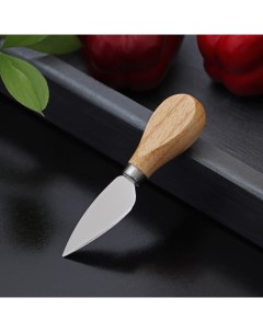 Нож для сыра Ломоть ручка из гевеи 12 1x3 см Доляна