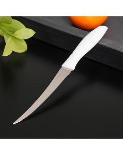 Нож кухонный для цитрусовых Ария лезвие 12 см цвет МИКС 2 шт Nobrand