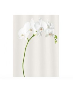 Шторка для ванной Белая орхидея PH54 Fora